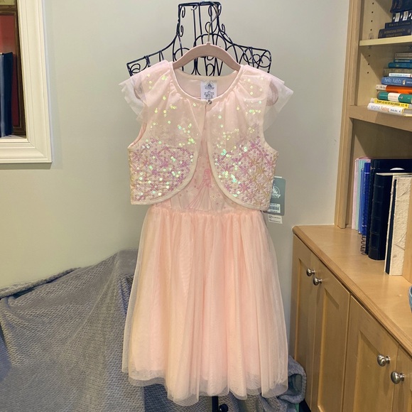 Disney Other - Disney Elsa Pink Tulle and Sequin Dress
